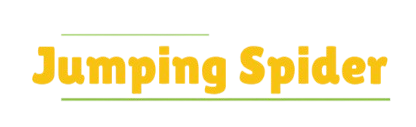 Jumping Spider Logo